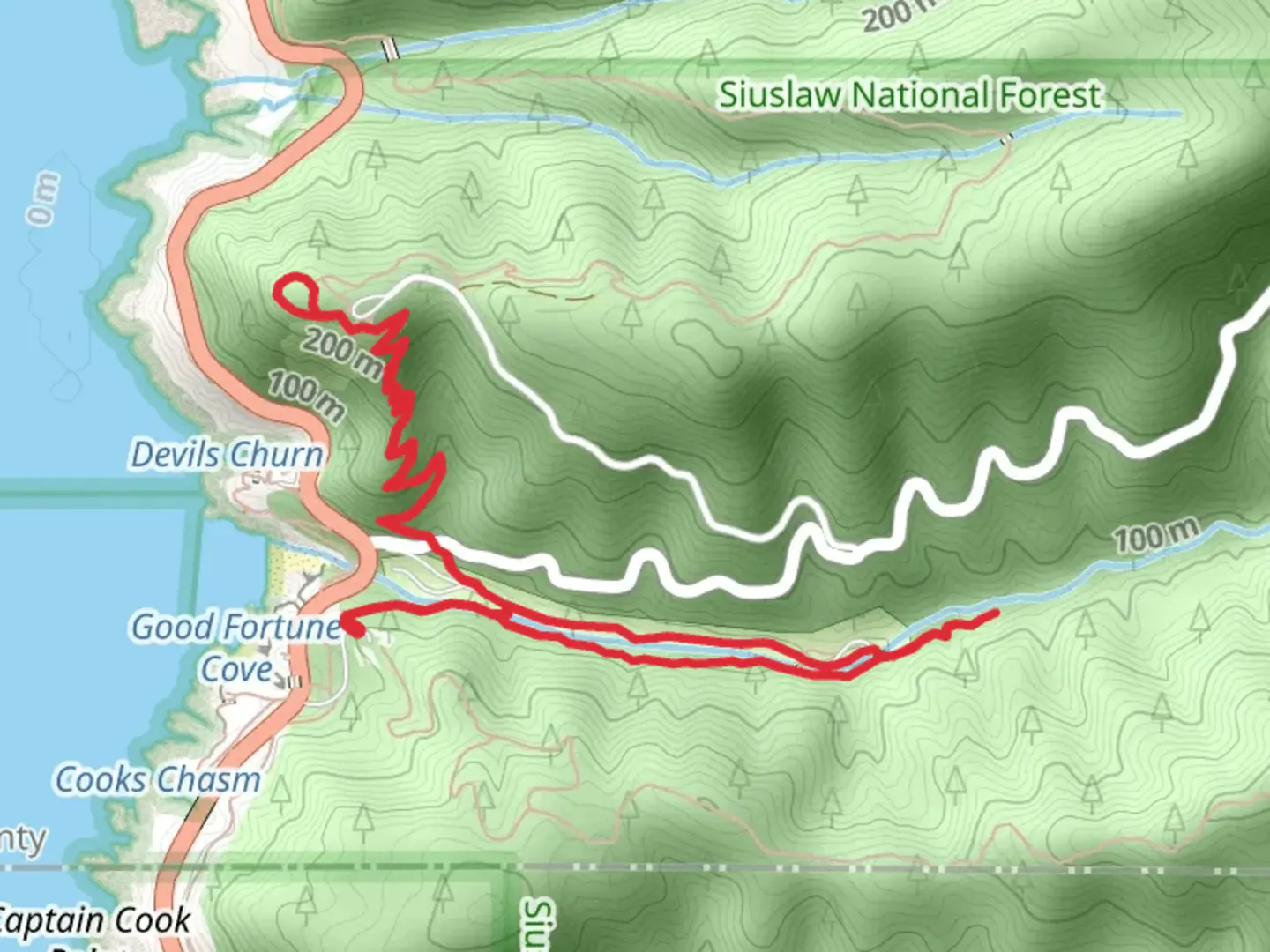 An image depicting the trail Saint Perpetua, Giant Spruce and Whispering Spruce Loop Trail and its surrounding area.