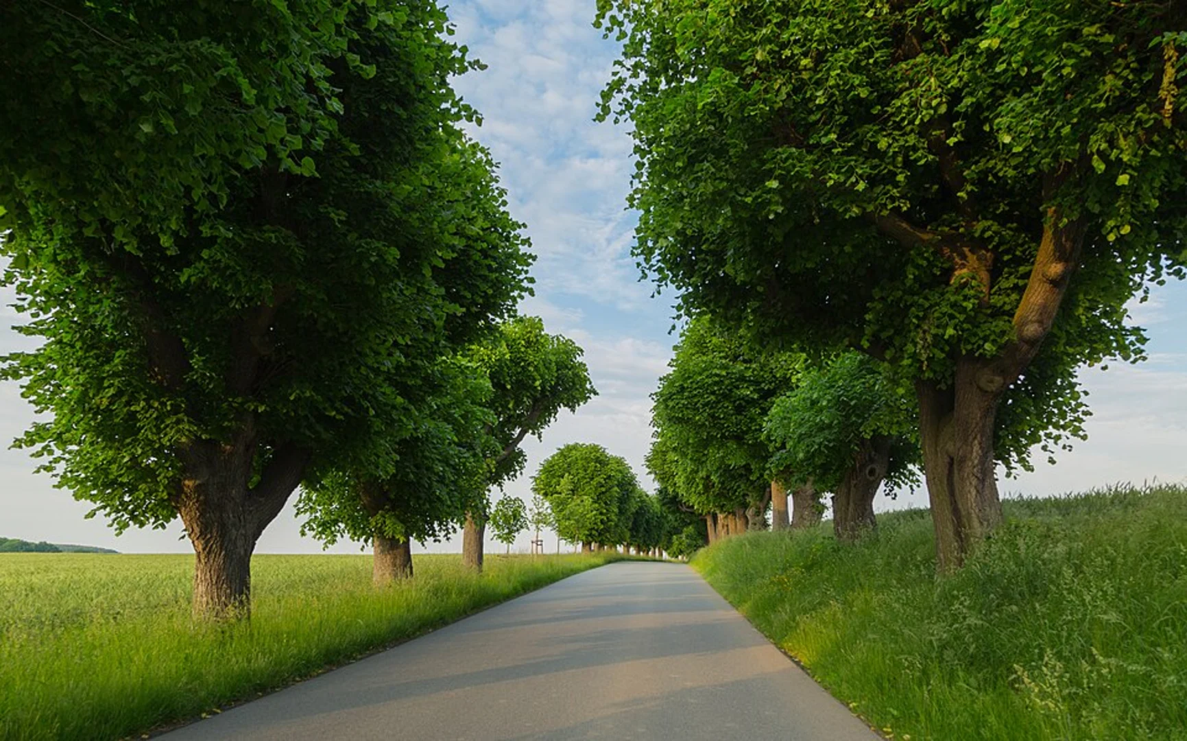 An image depicting the trail Hohler Berg via Frankenweg Teil and Geuergsweg and its surrounding area.