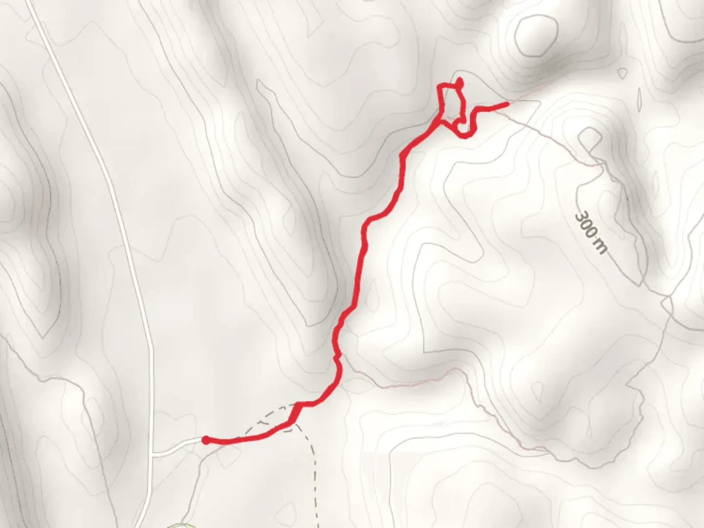 An image depicting the trail Homestead Gorge Track and its surrounding area.