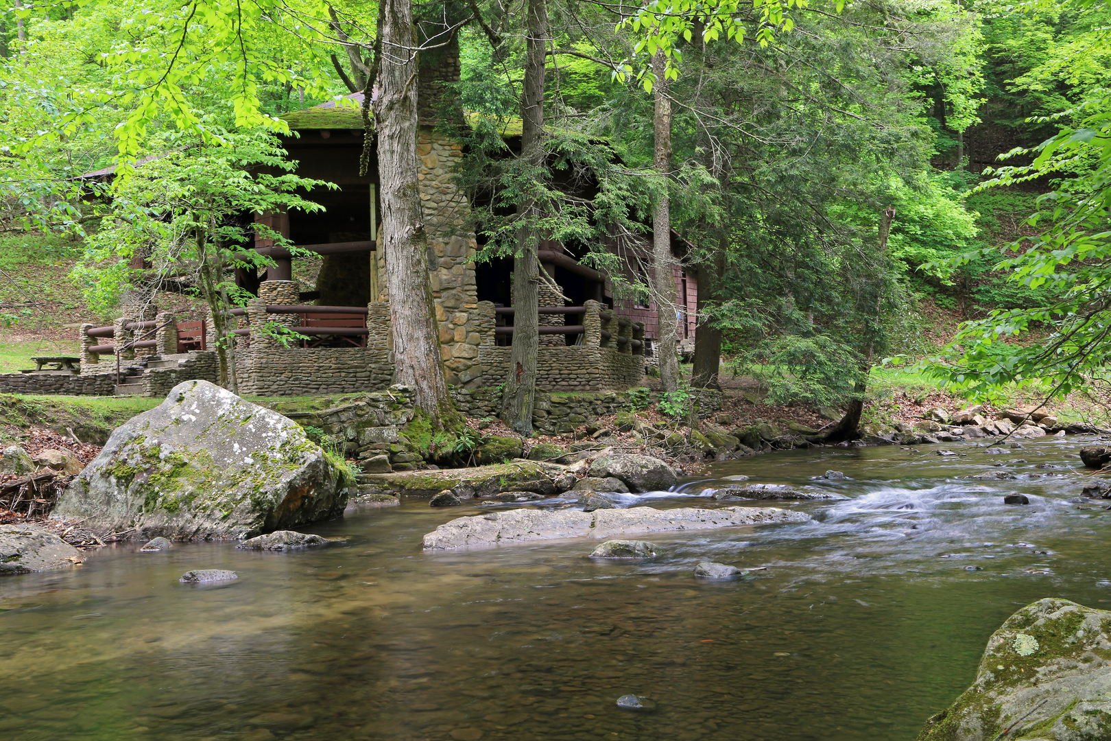 An image depicting the trail Laurel Fork Trail and its surrounding area.