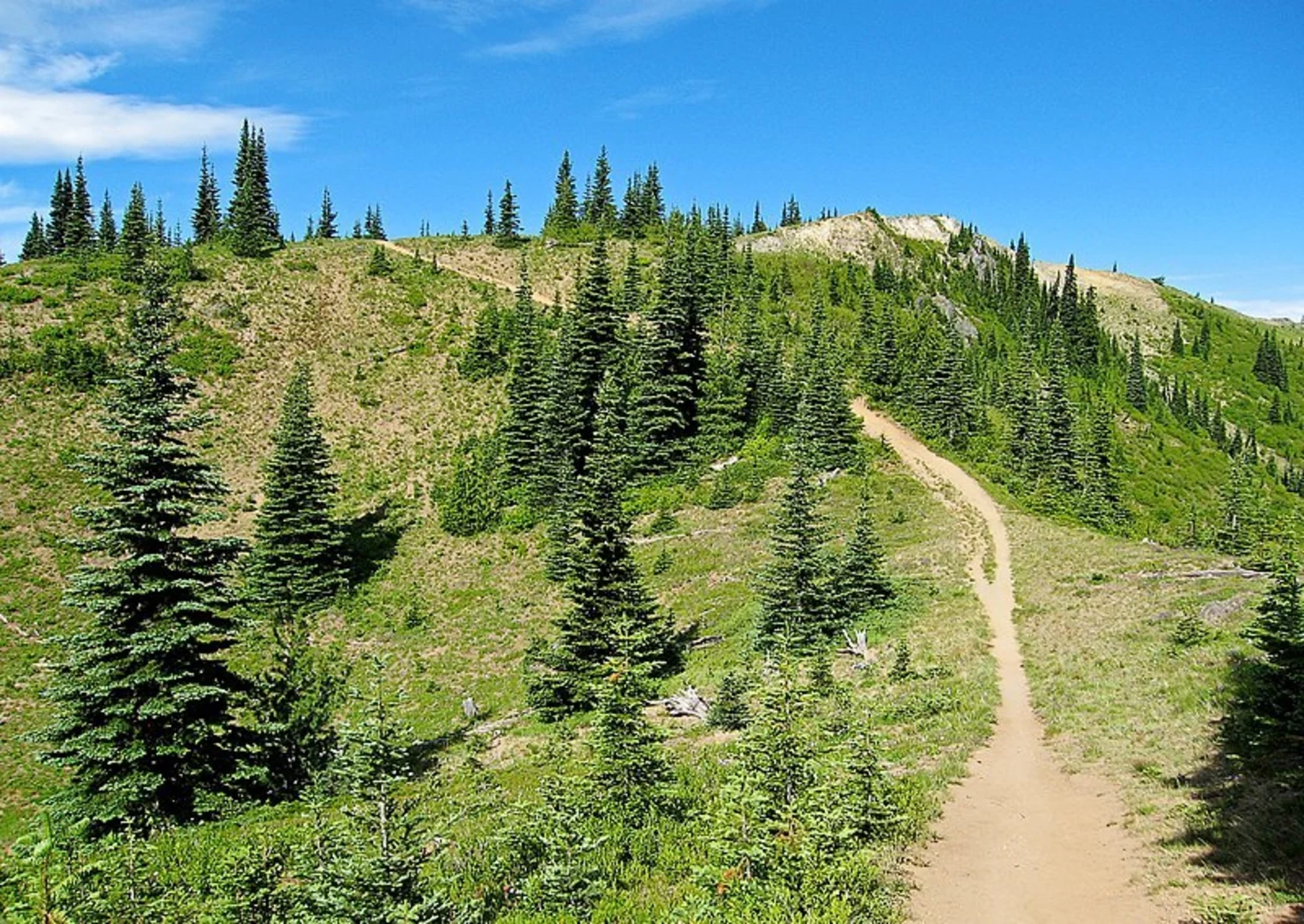 An image depicting the trail Noble Knob Trail and its surrounding area.