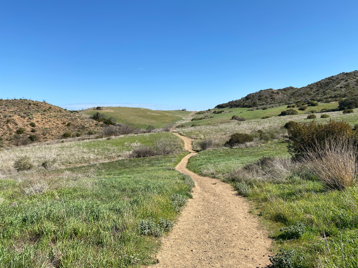 An image depicting the trail Satwiwa and Old Cabin Loop Trail and its surrounding area.