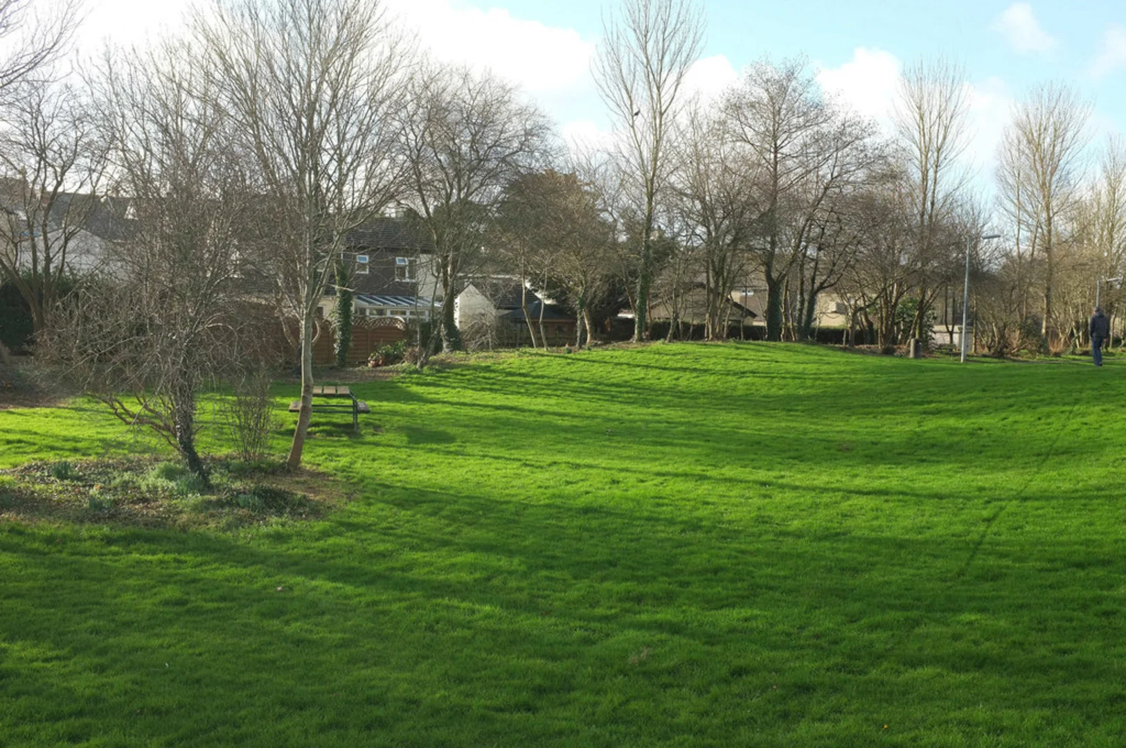 An image depicting the trail Wadebridge Walk and its surrounding area.