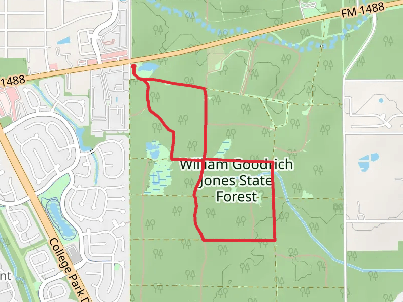 William Goodrich Jones State Forest Loop