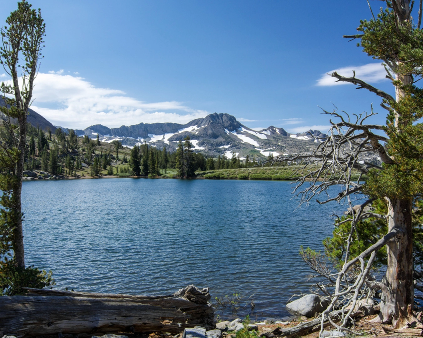 An image depicting the trail Winnemucca Lake Trail and its surrounding area.