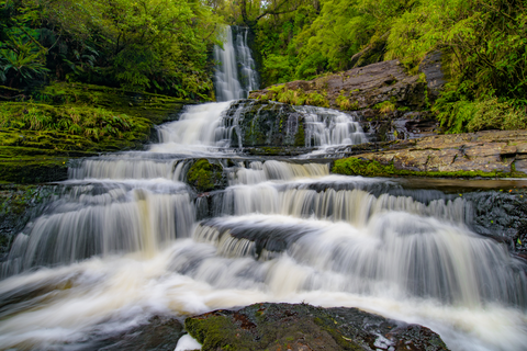 McLean Falls Walk