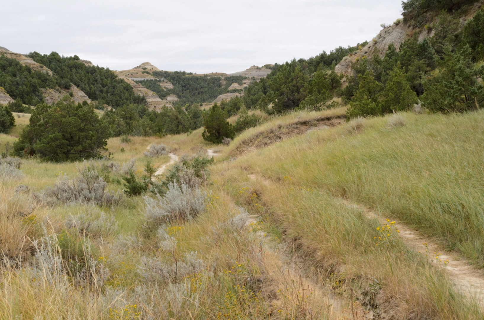 An image depicting the trail Caprock Coulee Nature Trail and its surrounding area.