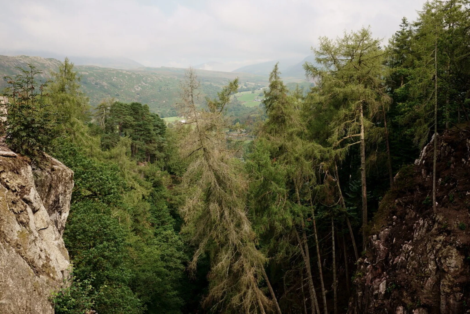 An image depicting the trail Stanley Ghyll Force and its surrounding area.