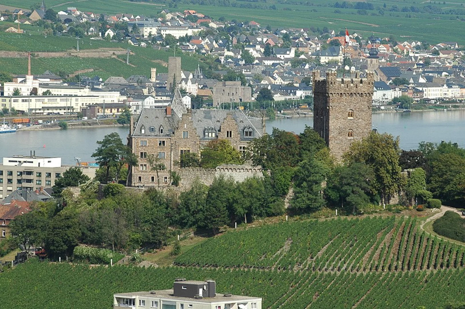 An image depicting the trail Bingen Loop via Rochusweg and its surrounding area.