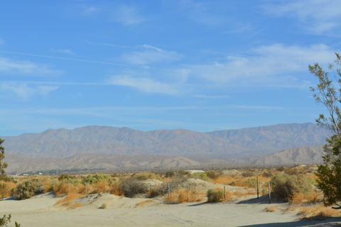 Mike Schuler Trail