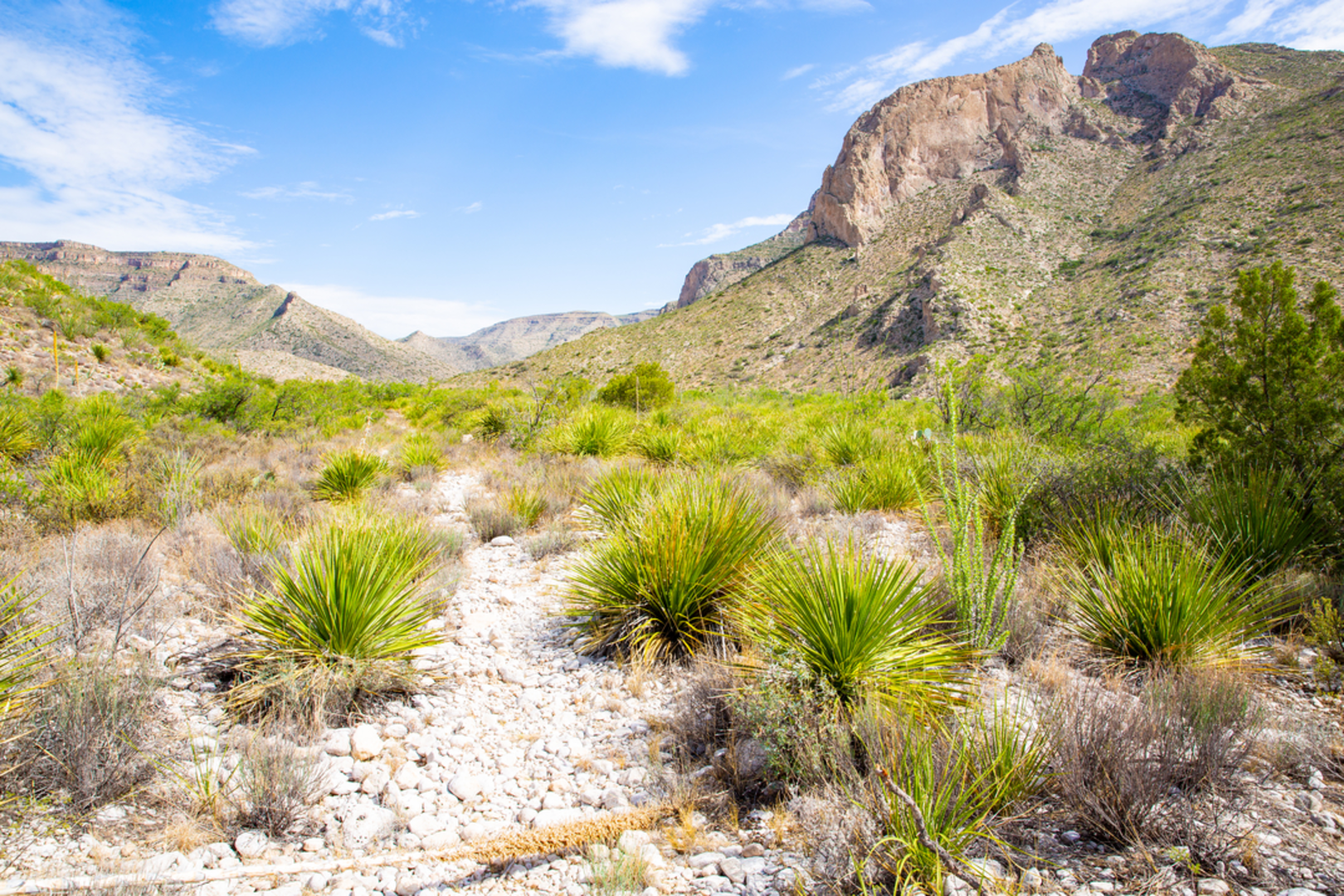 An image depicting the trail Yucca Canyon Trail and its surrounding area.