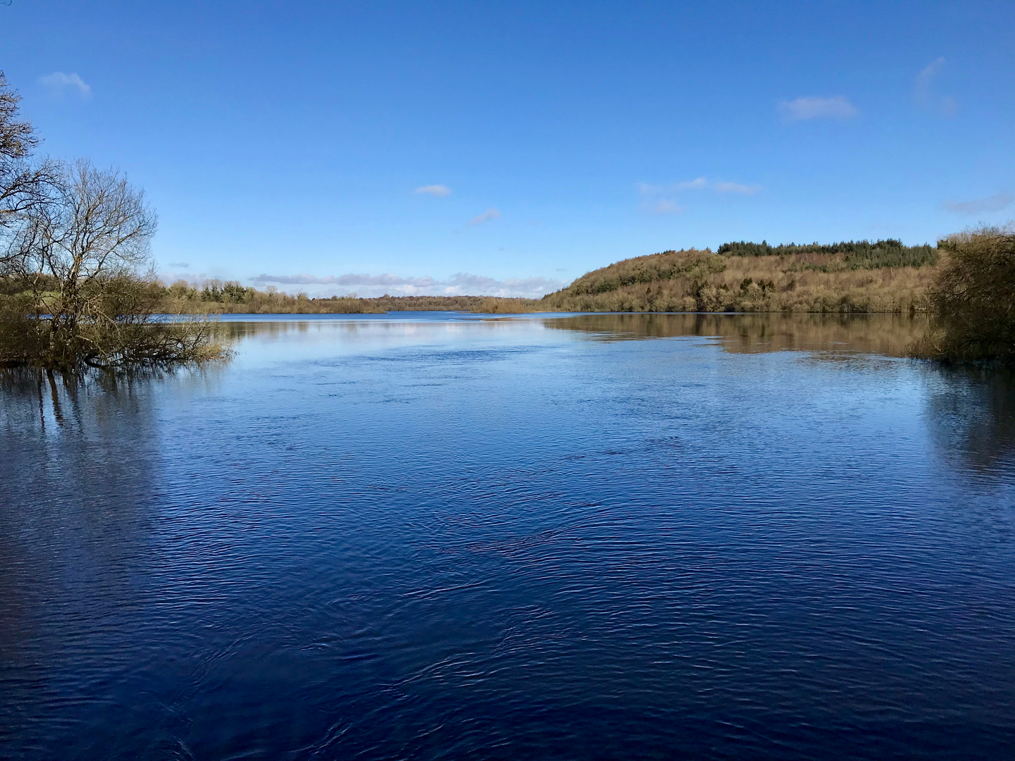 An image depicting the trail Killykeen Forest Park - Gartanoul Shore Walk and its surrounding area.