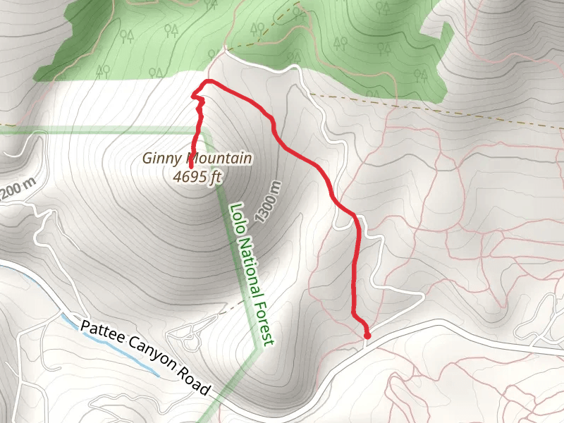Ginny Mountain from Pattee Canyon Road
