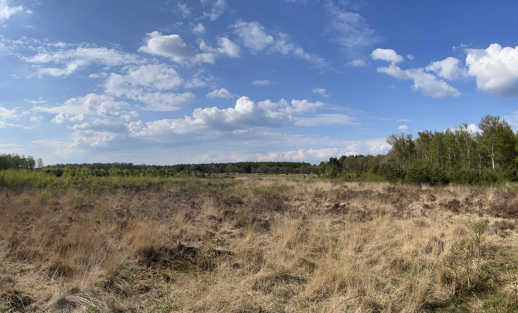 An image depicting the trail Reeenberg and Schansenberg Loop and its surrounding area.