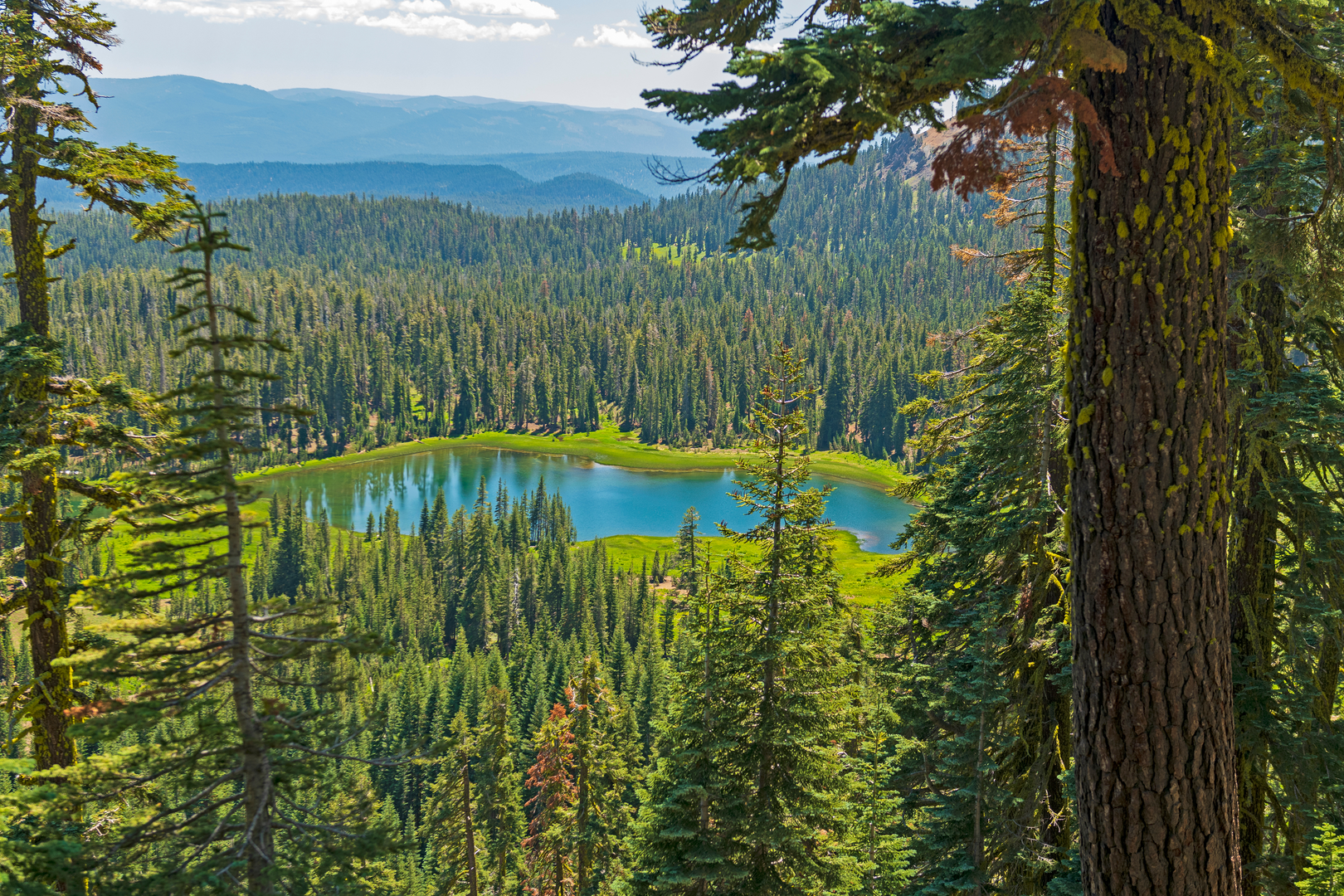 An image depicting the trail Crumbaugh Lake via Cold Boiling Lake Trail and its surrounding area.