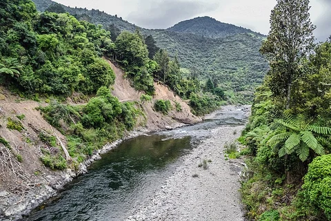Tauranga Loop Track