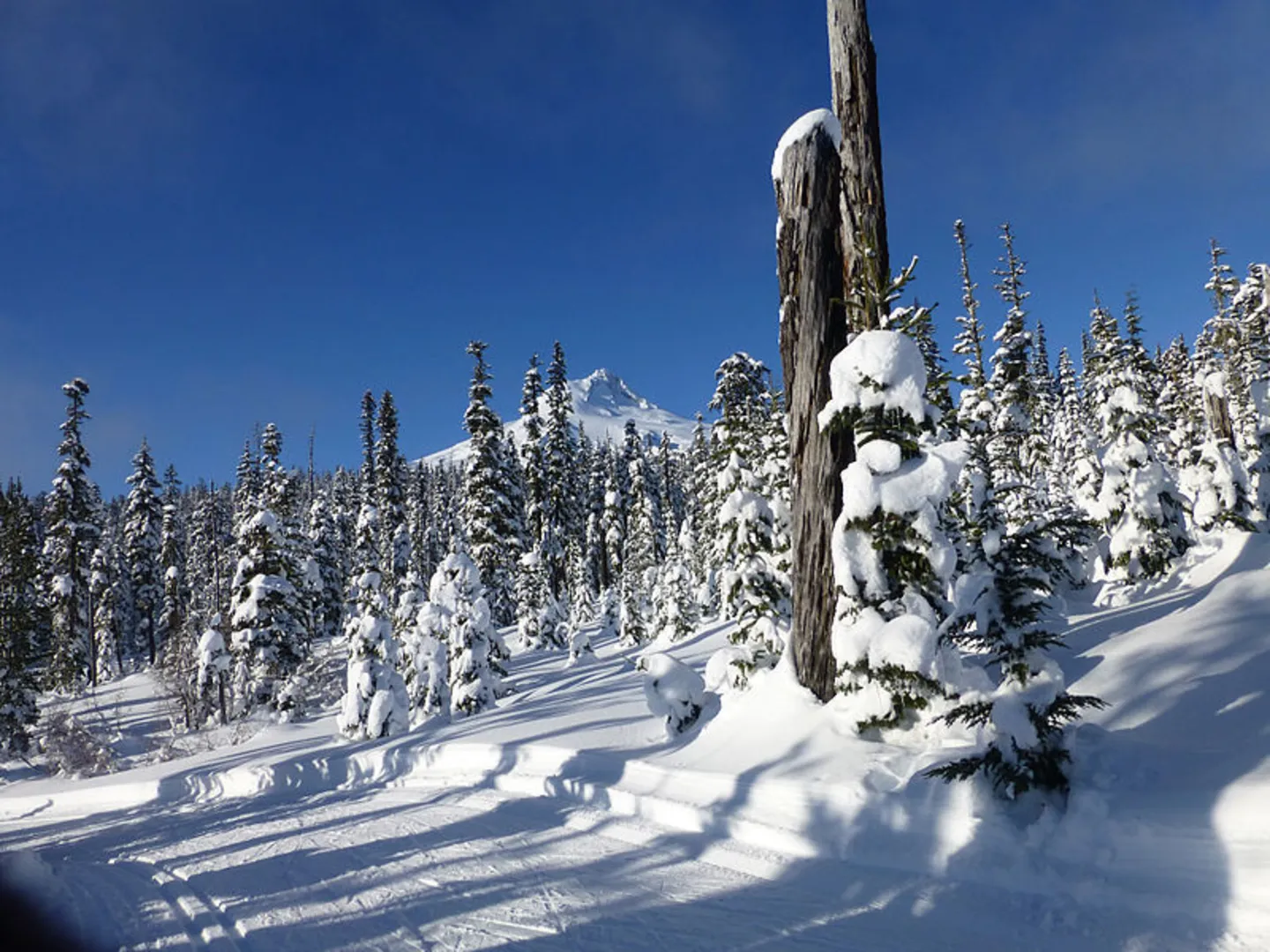 An image depicting the trail Teacup Lake Trail and its surrounding area.