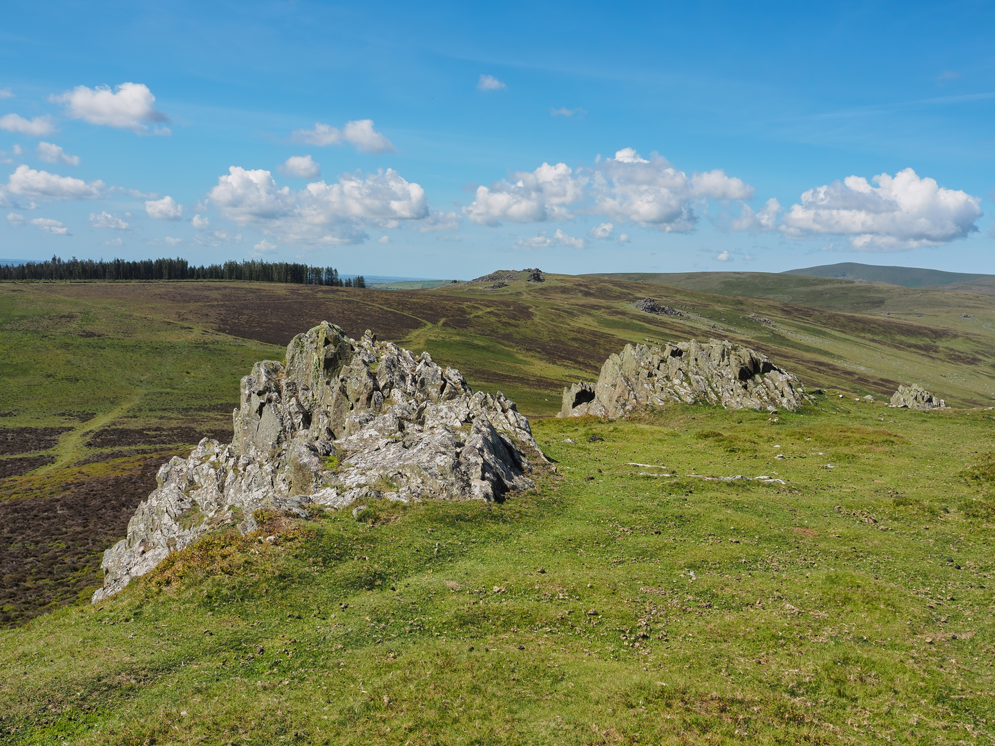 An image depicting the trail Foel Drygarn Hillfort - Preseli Hills and its surrounding area.