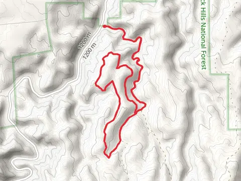 Dugout Gulch and Dugout Gulch Botanical Loop Trail