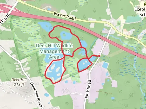 Lamprey River and Tucker Loop Trail