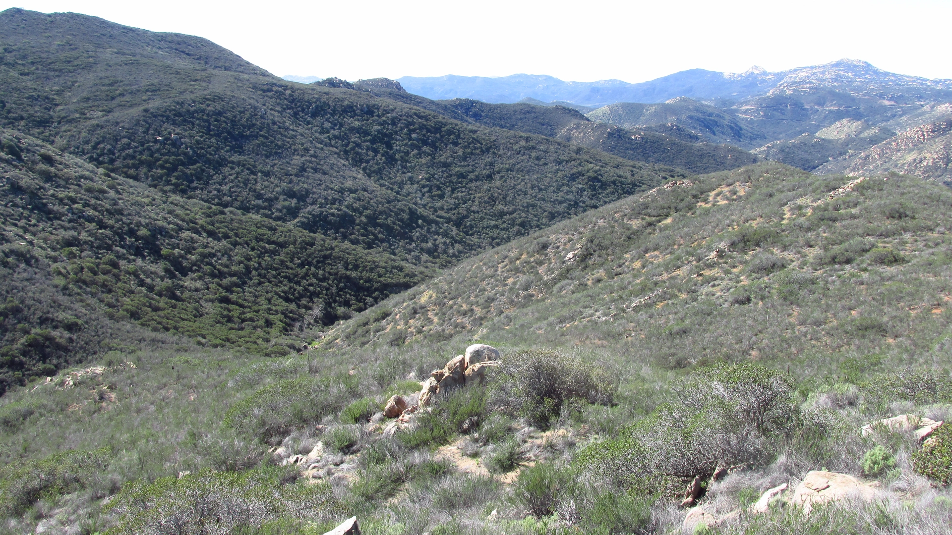 An image depicting the trail Secret Canyon and Espinosa Trail and its surrounding area.