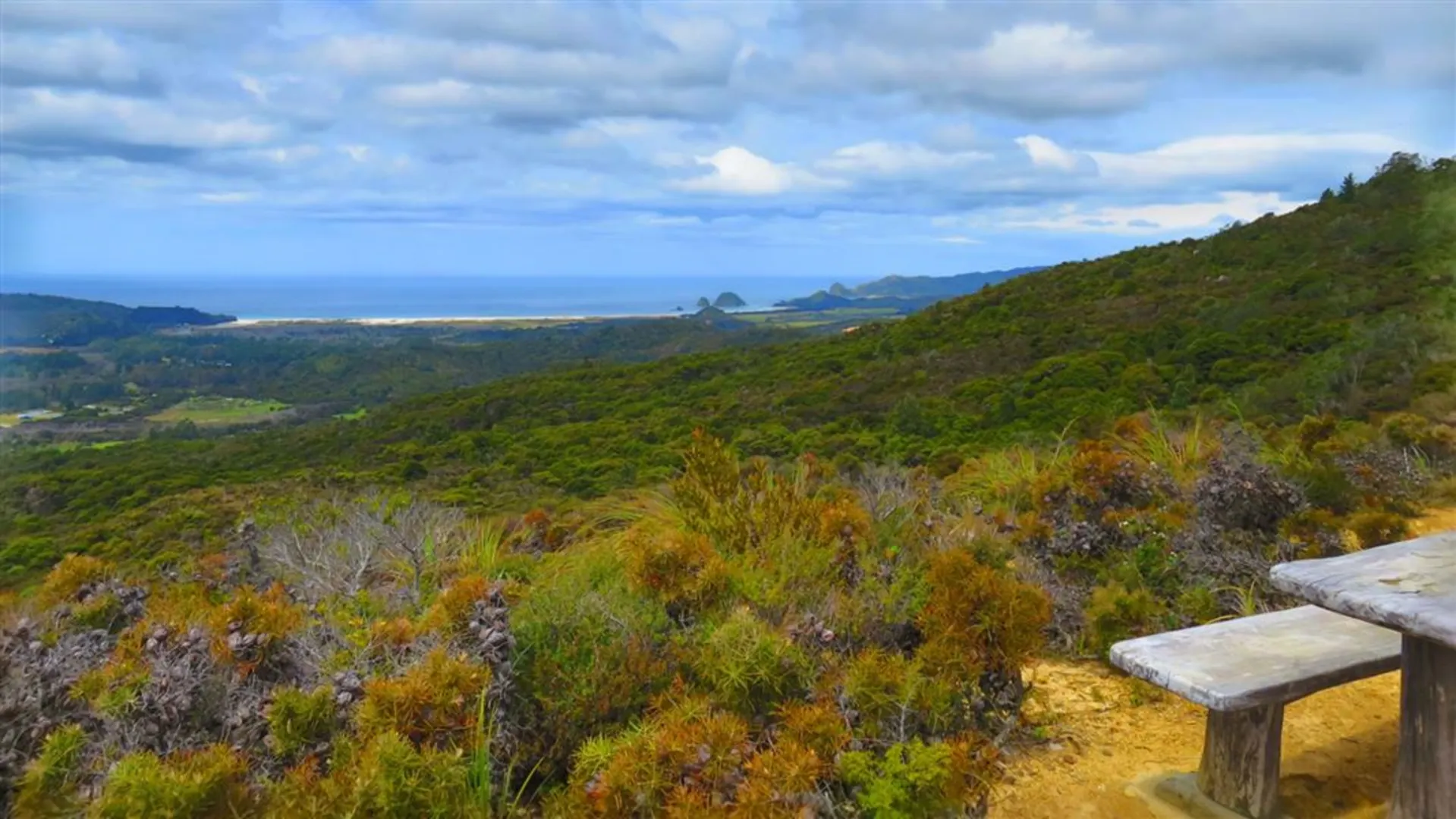 An image depicting the trail Whangaparapara - Te Ahumata Track and its surrounding area.