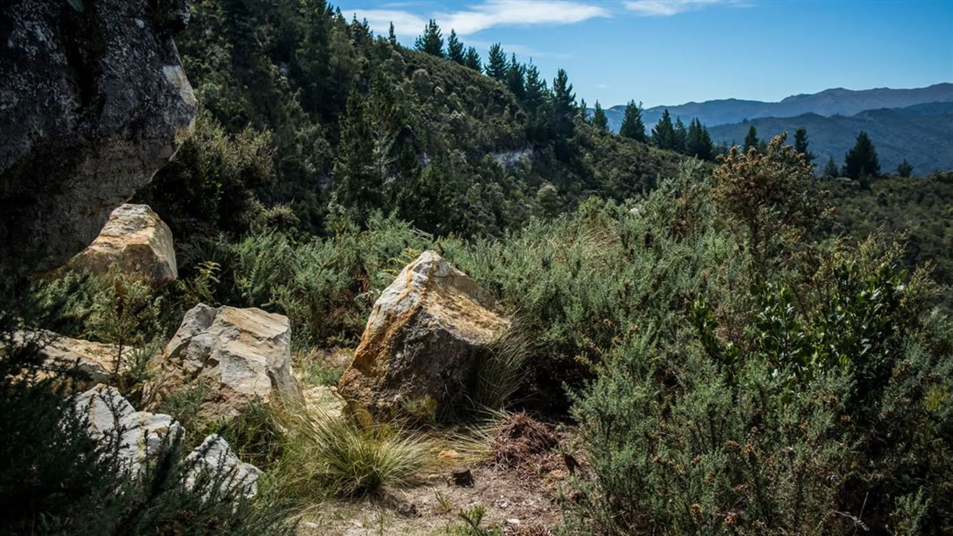 An image depicting the trail Chalkies Track and its surrounding area.