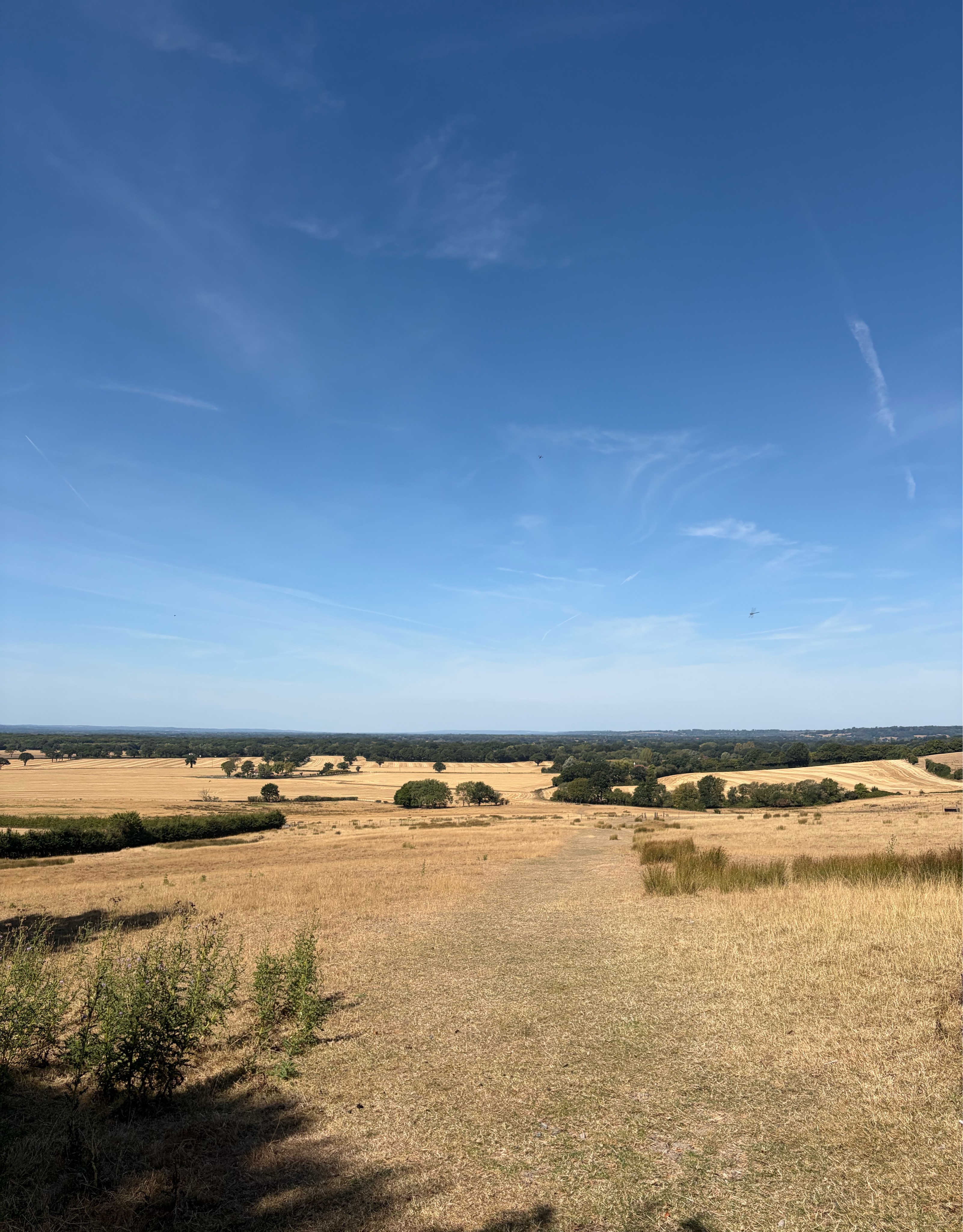 A map preview of the recording Pluckley Loop.