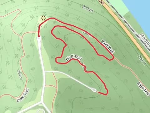 Bluff Trail