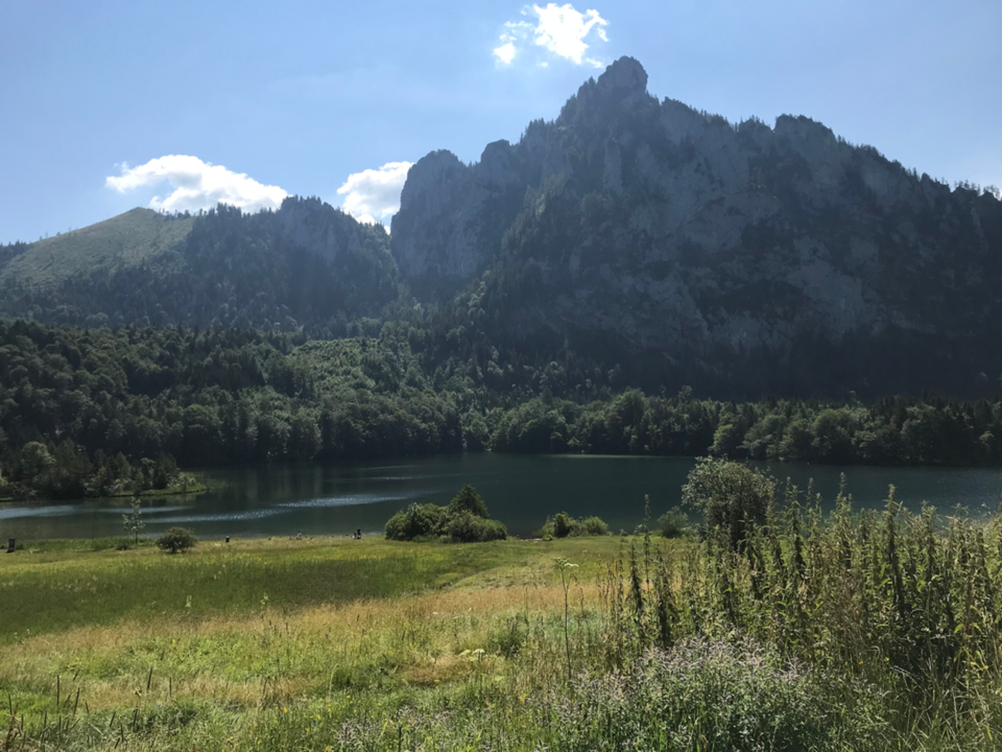 An image depicting the trail Grünberg Mountain to Lake Laudachsee Panorama Trail and its surrounding area.