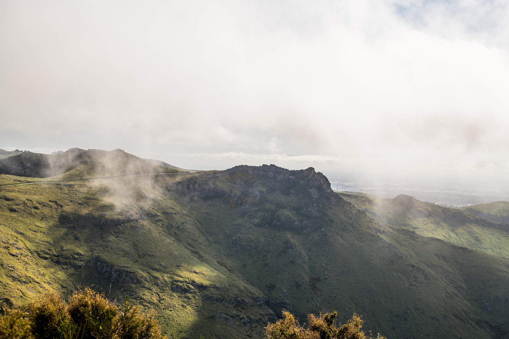 An image depicting the trail Rapaki Track and its surrounding area.