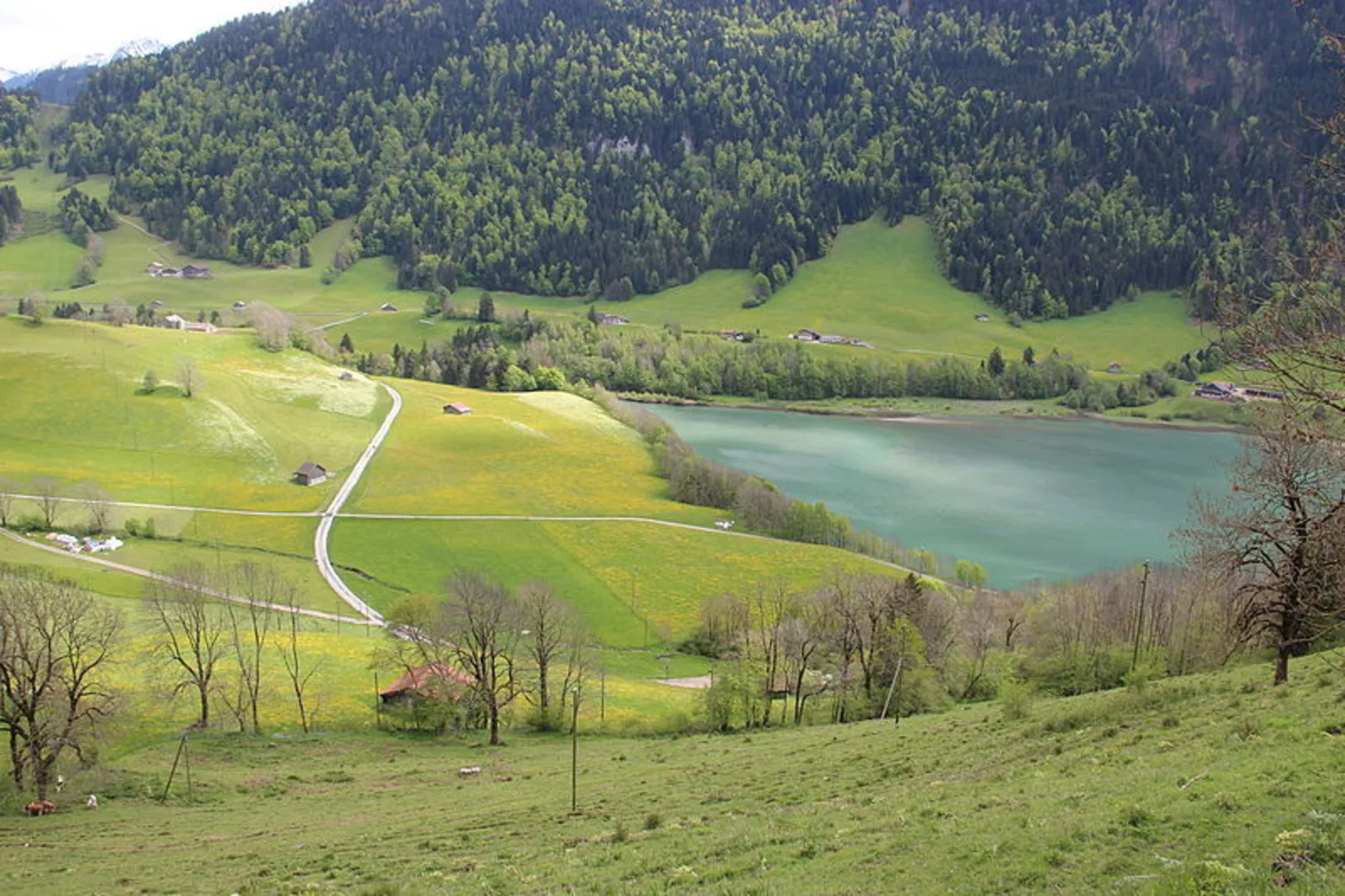 An image depicting the trail Rossinière - Allières Trail and its surrounding area.