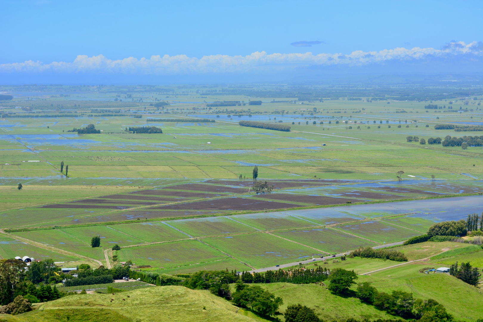 An image depicting the trail Papamoa Hills Loop and its surrounding area.