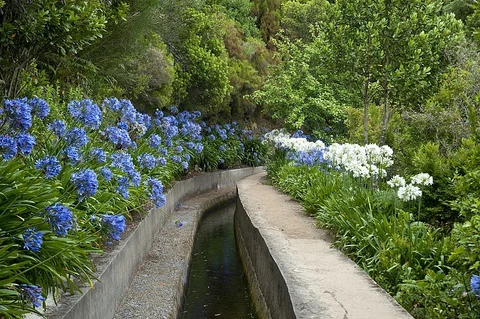 Levada do Norte