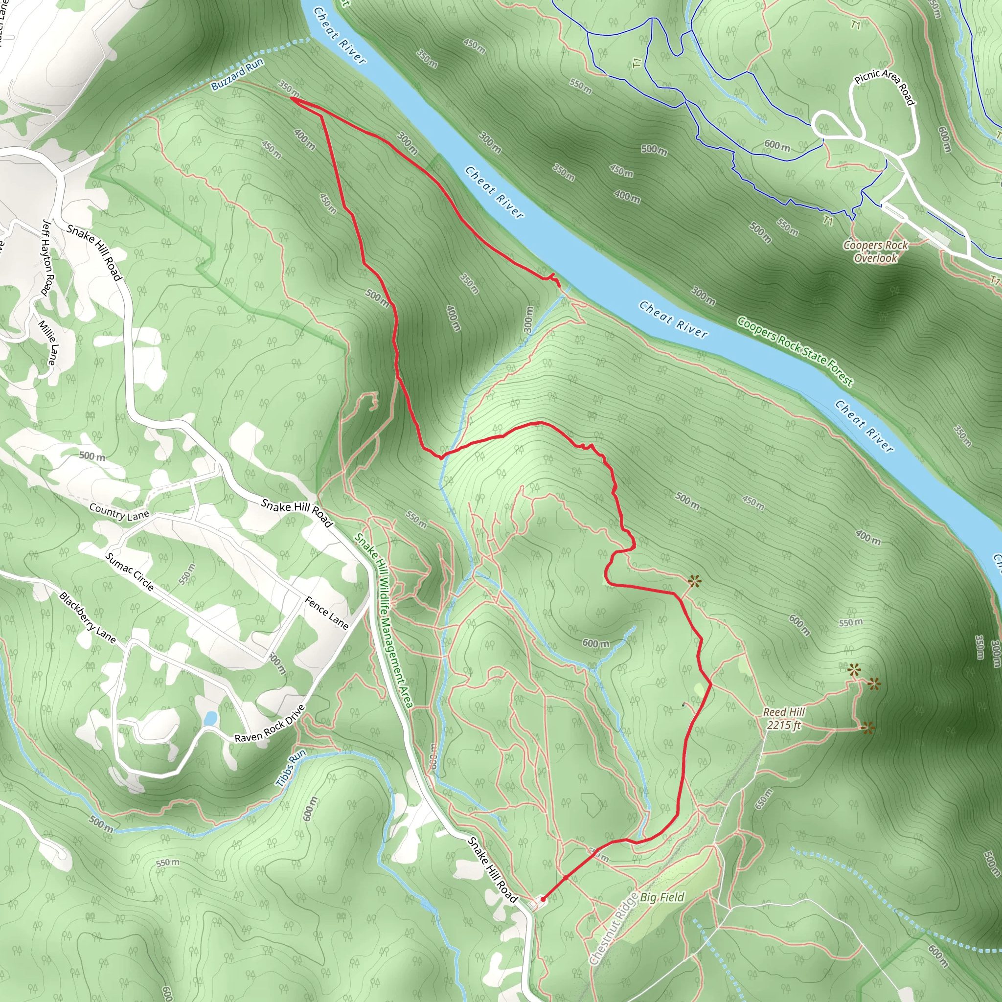 Cheat River from Snake Hill Road mobile static map