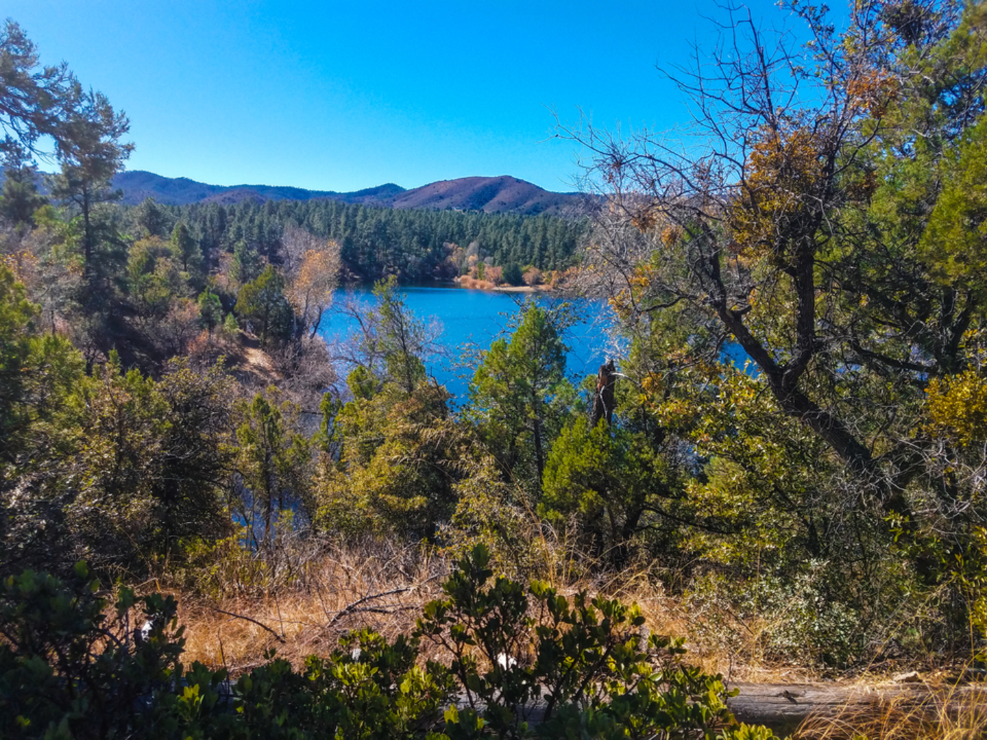 An image depicting the trail Salida Gulch Trail and its surrounding area.