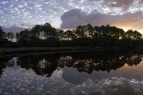 Flanners Beach Loop Trail