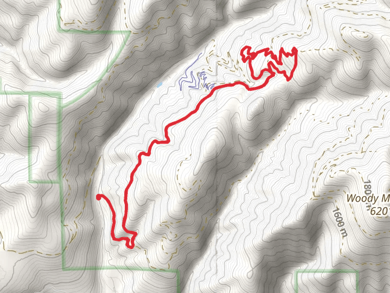 Marshall Mountain Walk