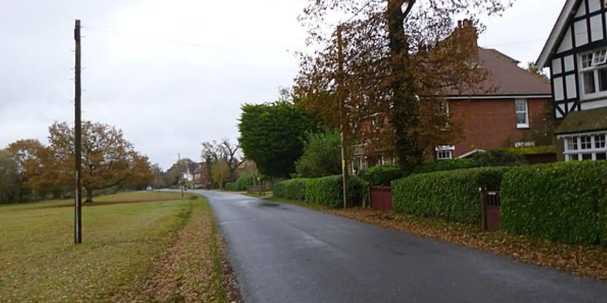 An image depicting the trail Brockenhurst Circular and its surrounding area.