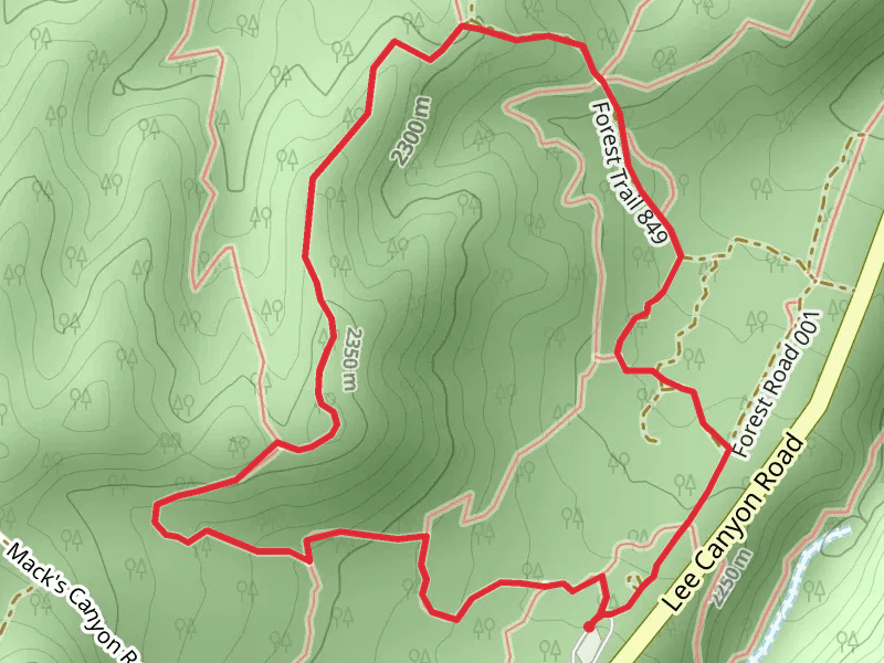 Blue and Green Loop - Lee Canyon Road