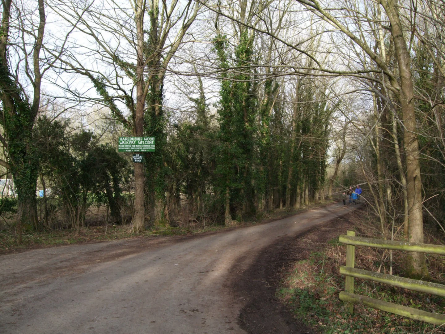 An image depicting the trail Hare Bushes Loop and its surrounding area.