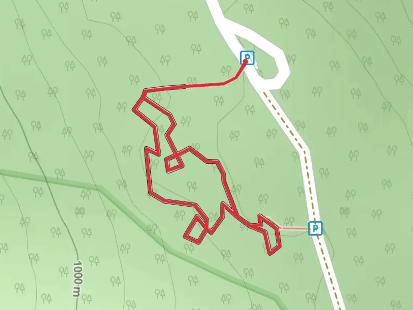 An image depicting the trail Beartown Road 219-11 Loop and its surrounding area.