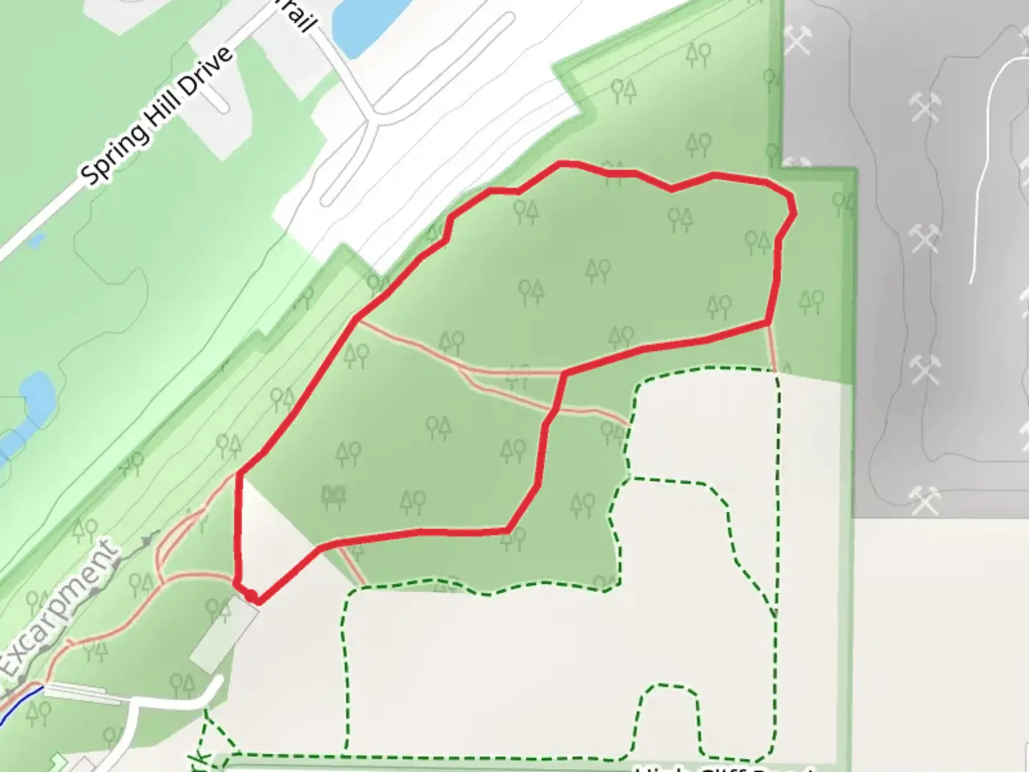 An image depicting the trail Forest Management Loop Trail and its surrounding area.