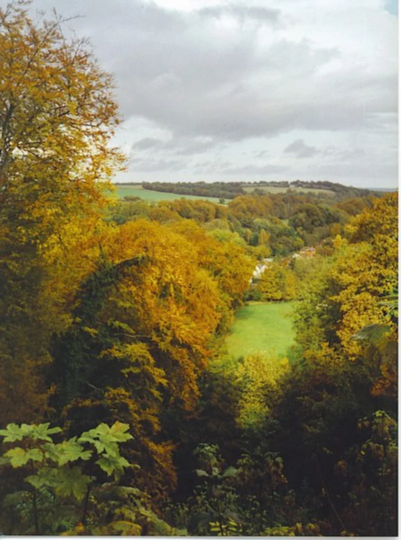 Selborne Hill and Selborne Common Loop | Hampshire | England