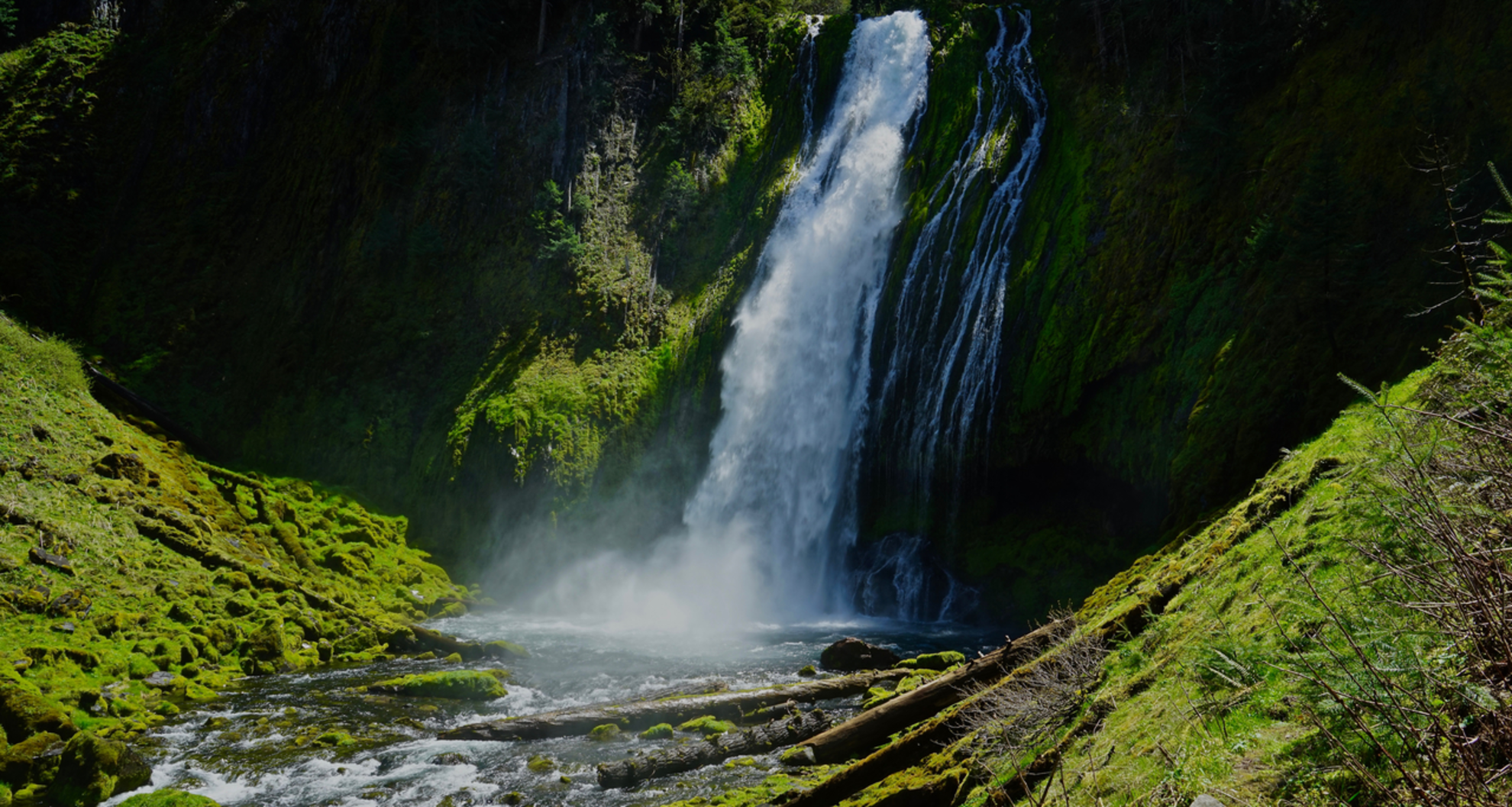 An image depicting the trail Lemolo Falls Trail and its surrounding area.