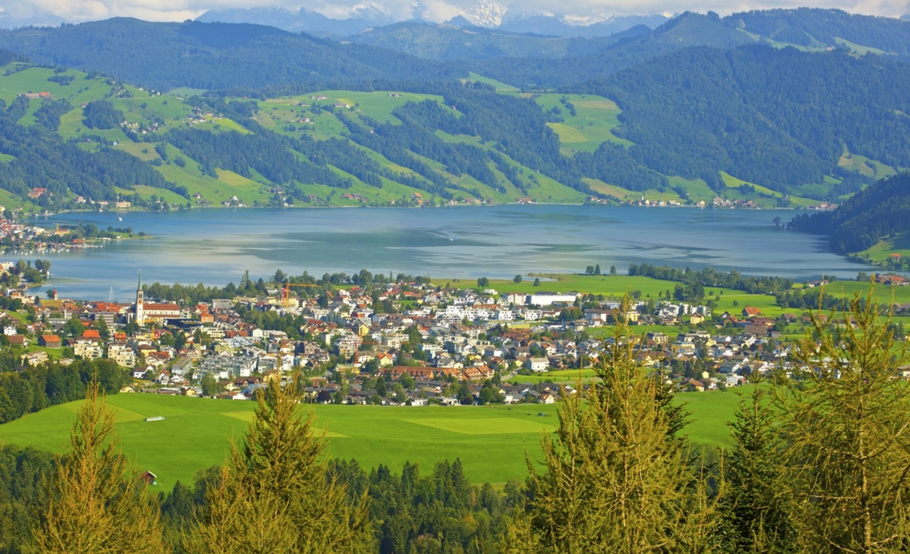 An image depicting the trail Unterägeri - Zug Trail and its surrounding area.