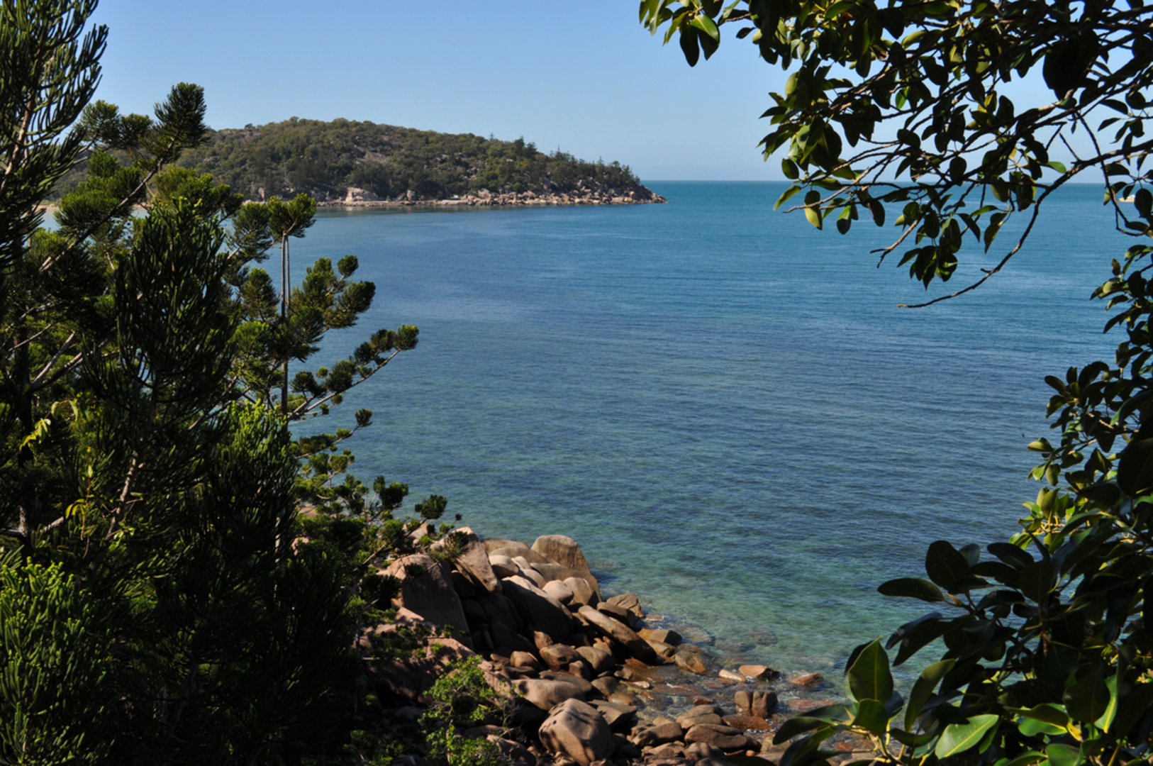 An image depicting the trail Nelly Bay - Picnic Bay Track and its surrounding area.