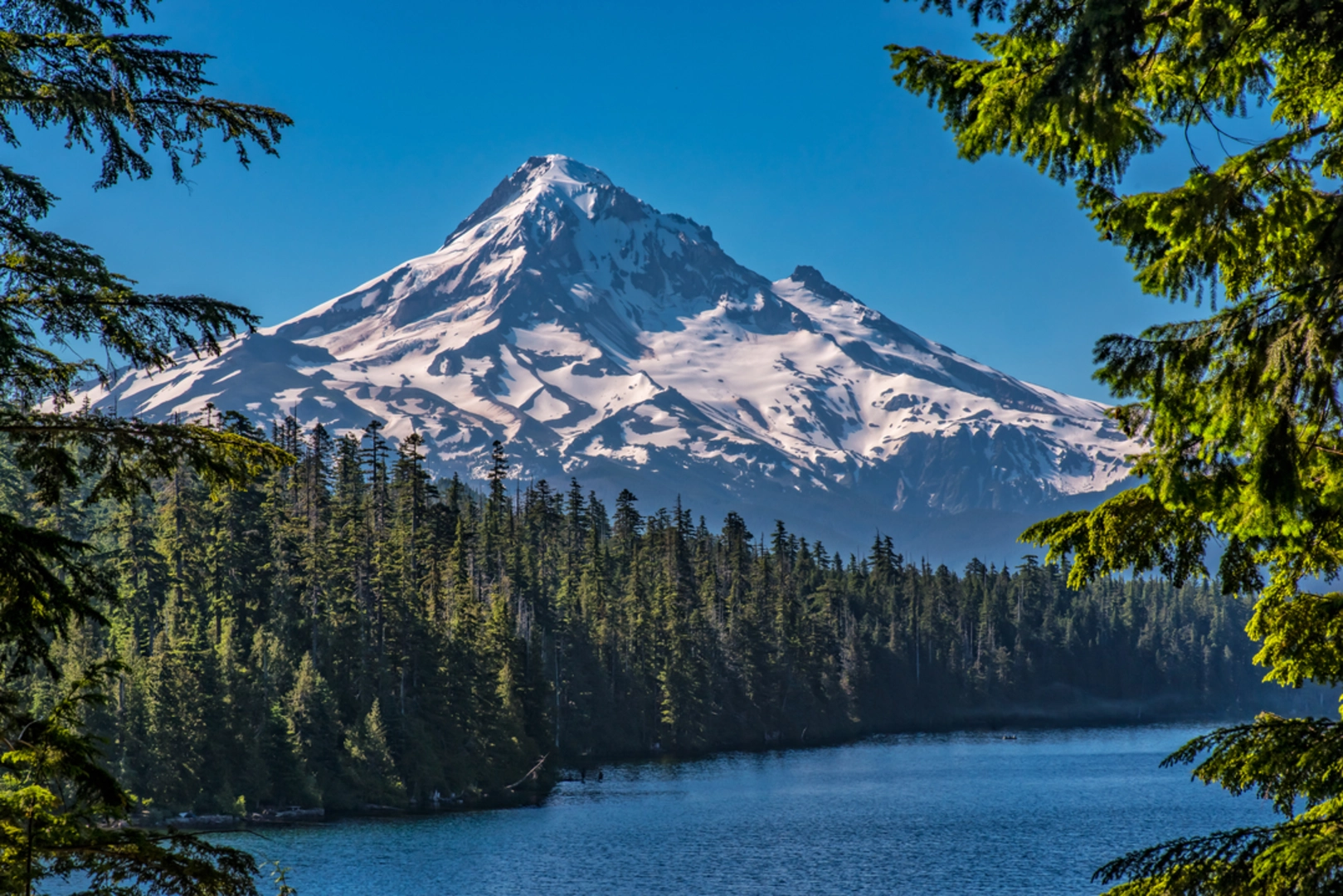 An image depicting the trail Rhododendron Trail near Lost Lake and its surrounding area.