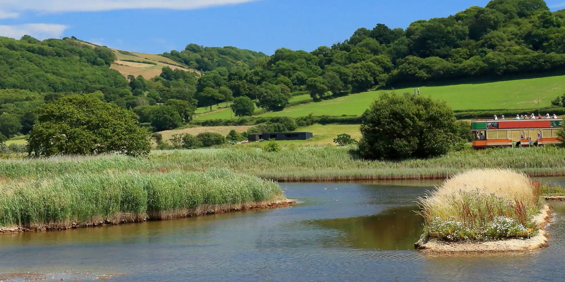 An image depicting the trail Beer YH - Seaton Down Hill Walk and its surrounding area.