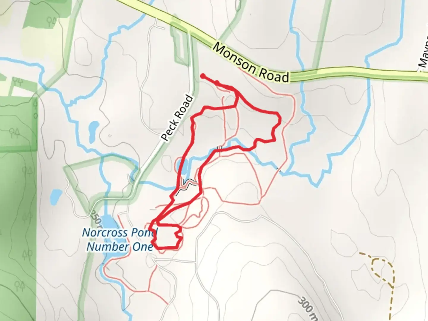 An image depicting the trail Vinica Brook Loop and its surrounding area.